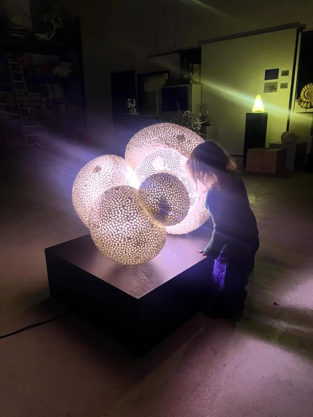 Artforms in Nature 
Science in Contemporary Art
For the very first time you are able to see Ernst Haeckel’s (1834 -1919) ‘Artworks in Nature’ in 3D. These sculptures are exact copies of real planktonic, one-celled organisms created with the latest nano scanning tech in collaboration with the Geo Sciences Department in Fribourg, Switzerland. Plankton plays a vital role in the sciences to learn about climate change, pollution and teach us about deep geological time and the history of life on earth. The artist aims to capture the beauty of the wilderness we still have. Making the invisible visible. 
Foraminifera Globerina siphonifera
Material: coated 3D printed polymer 
Size: 100 cm diameter | 0,8 mm (original organism) 
#plankton #planktonart #foraminifera #onecelled #expo