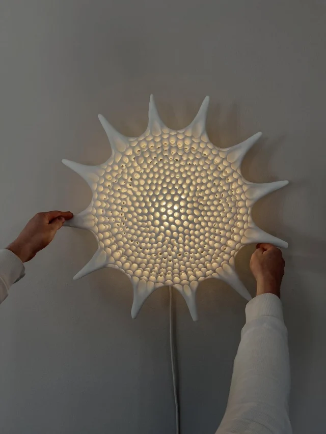 Installing a new lightwork - Heliodiscus Asteriscus discovered by Ernst Haeckel himself in 1887.
The original organism is < 0.2 mm, this sculpture is 60cm diameter. By scanning the original one celled plankton and radically enlarging it, this series of works aims to capture the wonders of the underwater microworld by making the invisible visible. 
2nd photo by: @marekmisphotography__
3rd photo in the church @tenutadiforci organized by @forciartfoundation in Lucca. 
#radiolaria #plankton #lightwork #sculpture #haeckel #artformsinnature