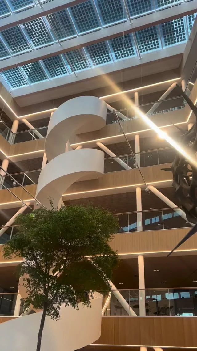 What a ride it has been to make a giant radiolarian sculpture from a 0,1 mm one celled organism. Many thanks to a great team of dedicated people for making the invisible visible ✨🙏🏽
Check it out at the new LPVS ULTRA building in the Utrecht Science Park. @kadanssciencepartner @unifribourg